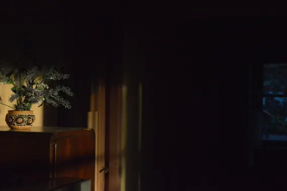 Trada Casino Stuðningur